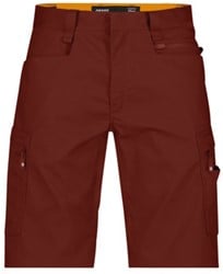 DASSY Zion PESCO38 werkshort