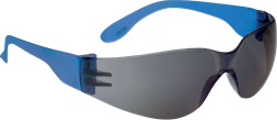 Delta Plus BRAV2FF veiligheidsbril