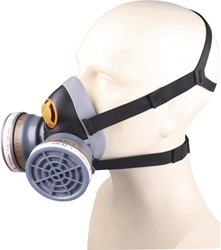 Delta Plus A2P2 masker