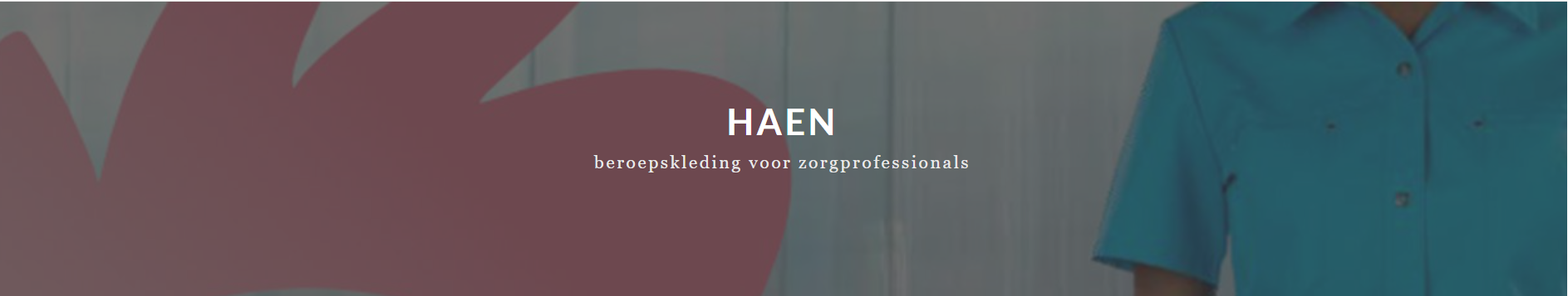 BHH - Landpag - Hoofdbanner desktop - Haen