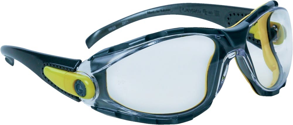 [PACAYLVIN] Delta Plus PACAYA CLEAR LYVIZ POLYCARBONAATBRIL UIT EEN STUK