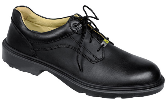 [232447] Elten Adviser Laag 71306 S2 (40)